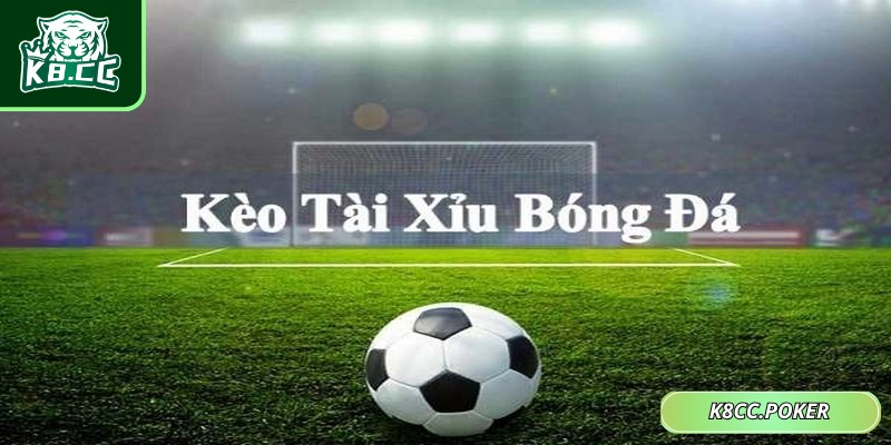 Kèo Tài Xỉu 1.75 Là Gì? Cách Chơi Chuẩn Xác Tăng Cơ Hội Thắng 2 Mức cược 1.75 sở hữu nhiều thế mạnh nổi bật